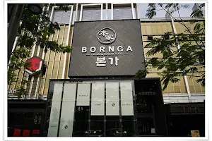 Bornga PIK image