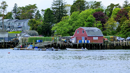 Nature Preserve «Johnson Field Preserve at Mackerel Cove», reviews and photos, 25 Abner Point Rd, Bailey Island, ME 04003, USA