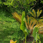 Photo n° 1 de l'avis de Ponsart.a fait le 27/05/2021 à 18:34 pour Le Kestellic à Plouguiel