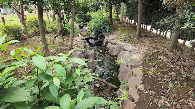 世田谷区立 代沢せせらぎ公園