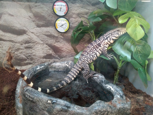 Pet Supply Store «Petco Animal Supplies», reviews and photos, 3444 S Mooney Blvd, Visalia, CA 93277, USA