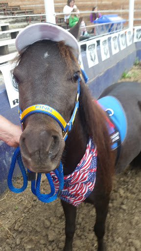 Rodeo «Molalla Buckeroo Association», reviews and photos, 815 Shirley St, Molalla, OR 97038, USA