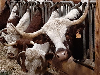 La ferme pédagogique du Perrier à Boisset-Saint-Priest