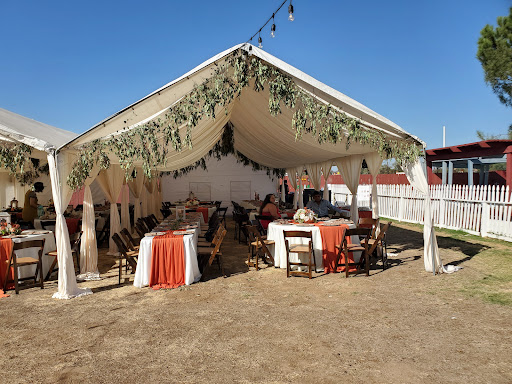 De La O Entertainment & Valses image