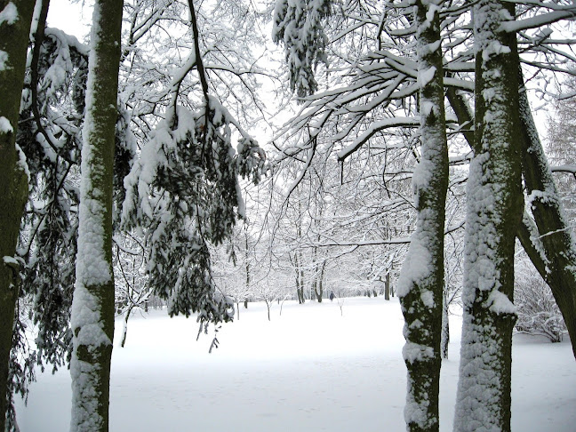 Park Modrzewie - Ogrodnik
