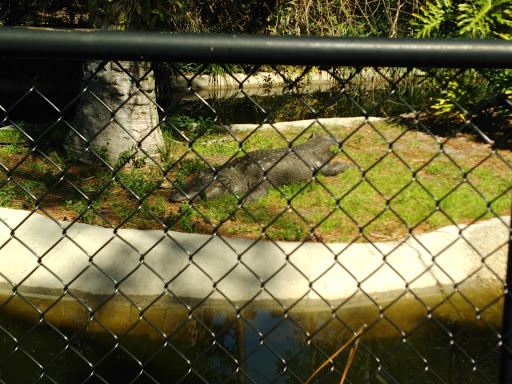 Zoo «ZooWorld Zoological and Botanical Conservatory», reviews and photos, 9008 Front Beach Rd, Panama City Beach, FL 32407, USA