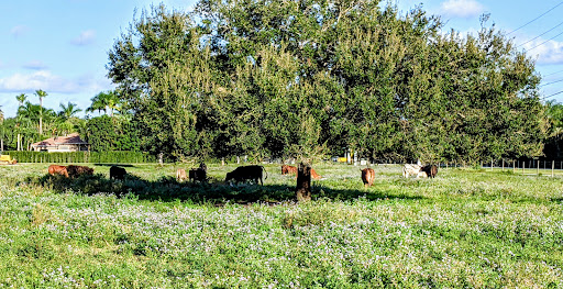 Park «Owl Park», reviews and photos, SW 26th St, Davie, FL 33325, USA