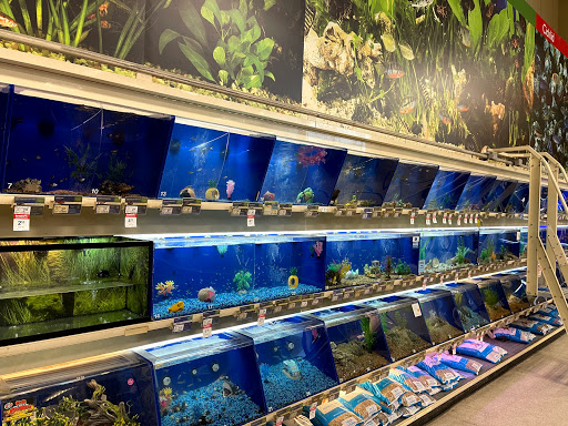 Pet Supply Store «PetSmart», reviews and photos, 139 Radio Dr, Stroudsburg, PA 18360, USA