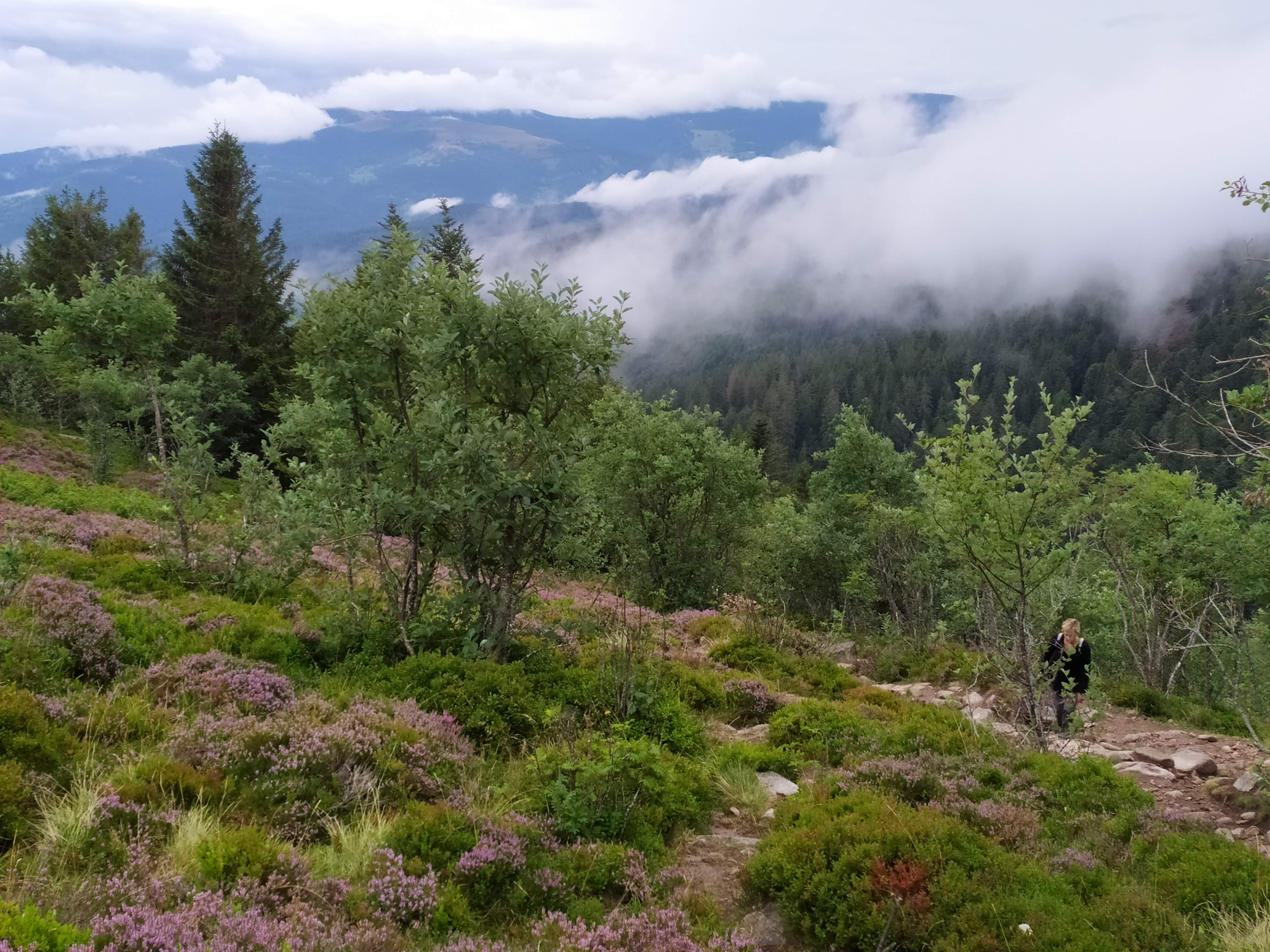 Photo n° 14 de l'avis de Eric.o fait le 10/11/2019 à 19:26