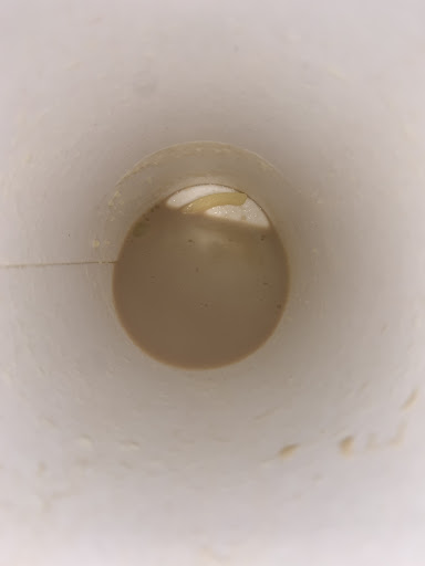 Starbucks image