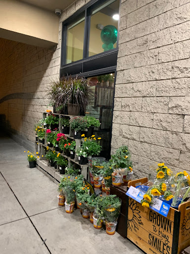 Safeway image