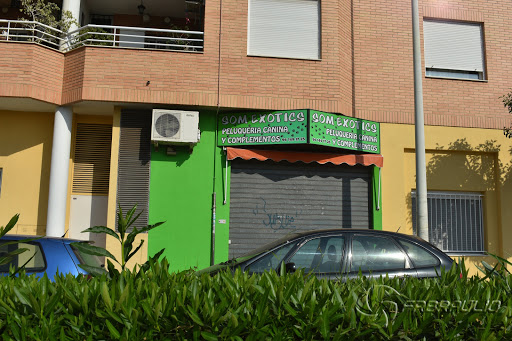 Som exotics en Foios, Valencia