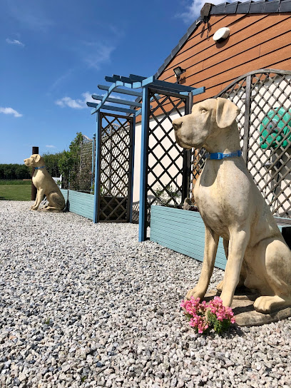The Wag Pad Boarding Kennels