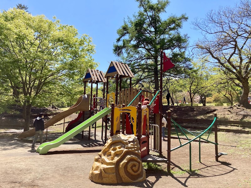 河口湖総合公園 山梨県富士河口湖町船津 公園 公園 グルコミ