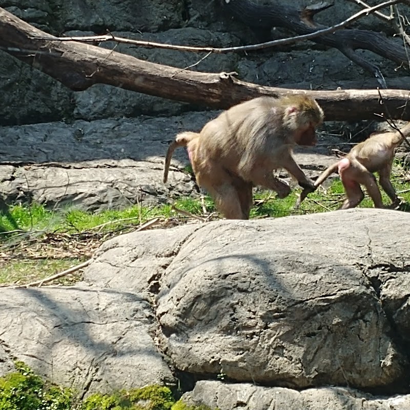 Prospect Park Zoo