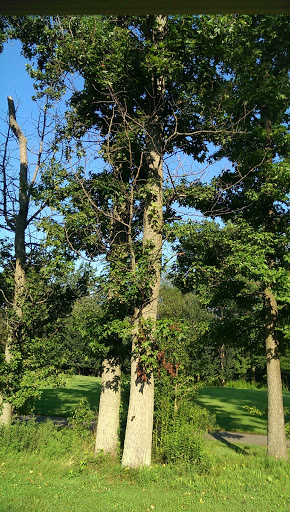 Golf Course «Hyatt HIlls Golf Complex», reviews and photos, 1300 Raritan Rd, Clark, NJ 07066, USA