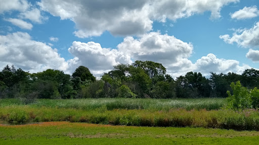 Park «Danehy Park», reviews and photos, 99 Sherman St, Cambridge, MA 02138, USA