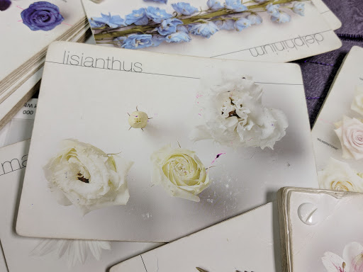 Florist «The Flowerman», reviews and photos, 70A Westpark Rd, Dayton, OH 45459, USA