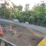 Photo n°14 de l'avis de Antonio.a fait le 25/12/2017 à 22:37 sur le  Fattorie Albatros à Quarto