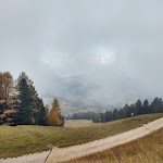 Photo n°2 de l'avis de Giuseppe.c fait le 13/10/2022 à 10:57 sur le  Oberholz à Obereggen