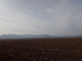 Karaağaç Köyü Muhtarlığı