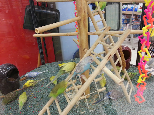 Pet Supply Store «Petco Animal Supplies», reviews and photos, 231 N Glendale Ave, Glendale, CA 91206, USA