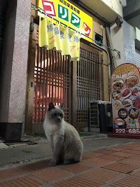コリアン