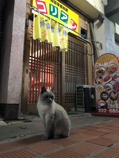 コリアン