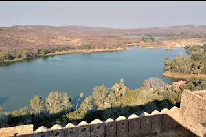 The Ranthambhore Bagh image