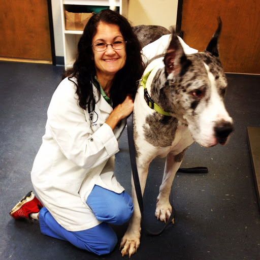 Companion Care Veterinary Clinic image