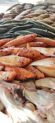 Vente directe de poisson Argeles sur Mer à Argelès-sur-Mer