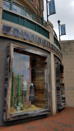 Anthropologie
