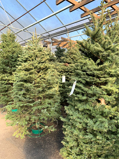 Garden Center «Pike Nurseries», reviews and photos, 615 W Crossville Rd, Roswell, GA 30075, USA