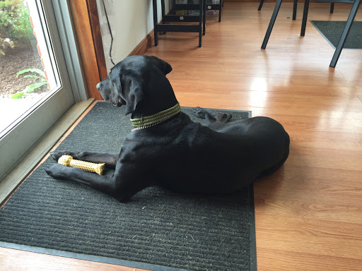 Used Car Dealer «Corry Preowned Auto Sales», reviews and photos, 710 E Columbus Ave, Corry, PA 16407, USA