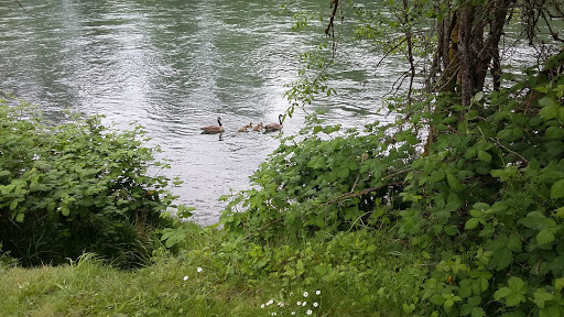 RV Park «Shamrock Village RV Park», reviews and photos, 4531 Franklin Blvd, Eugene, OR 97403, USA