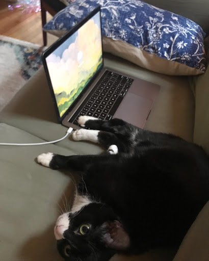 Shopping Mall «Eagan Town Centre», reviews and photos, 1276 Town Centre Dr, Eagan, MN 55123, USA