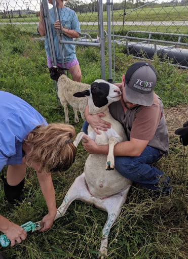 Taney County Veterinary Service image