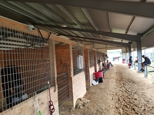 Casino «Evangeline Downs Racetrack & Casino», reviews and photos, 2235 Cresswell Lane Extension, Opelousas, LA 70570, USA