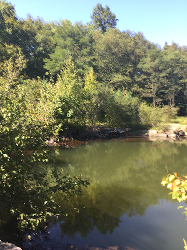 Nature Preserve «Cranberry Lake Preserve», reviews and photos, 1609 Old Orchard St, West Harrison, NY 10604, USA