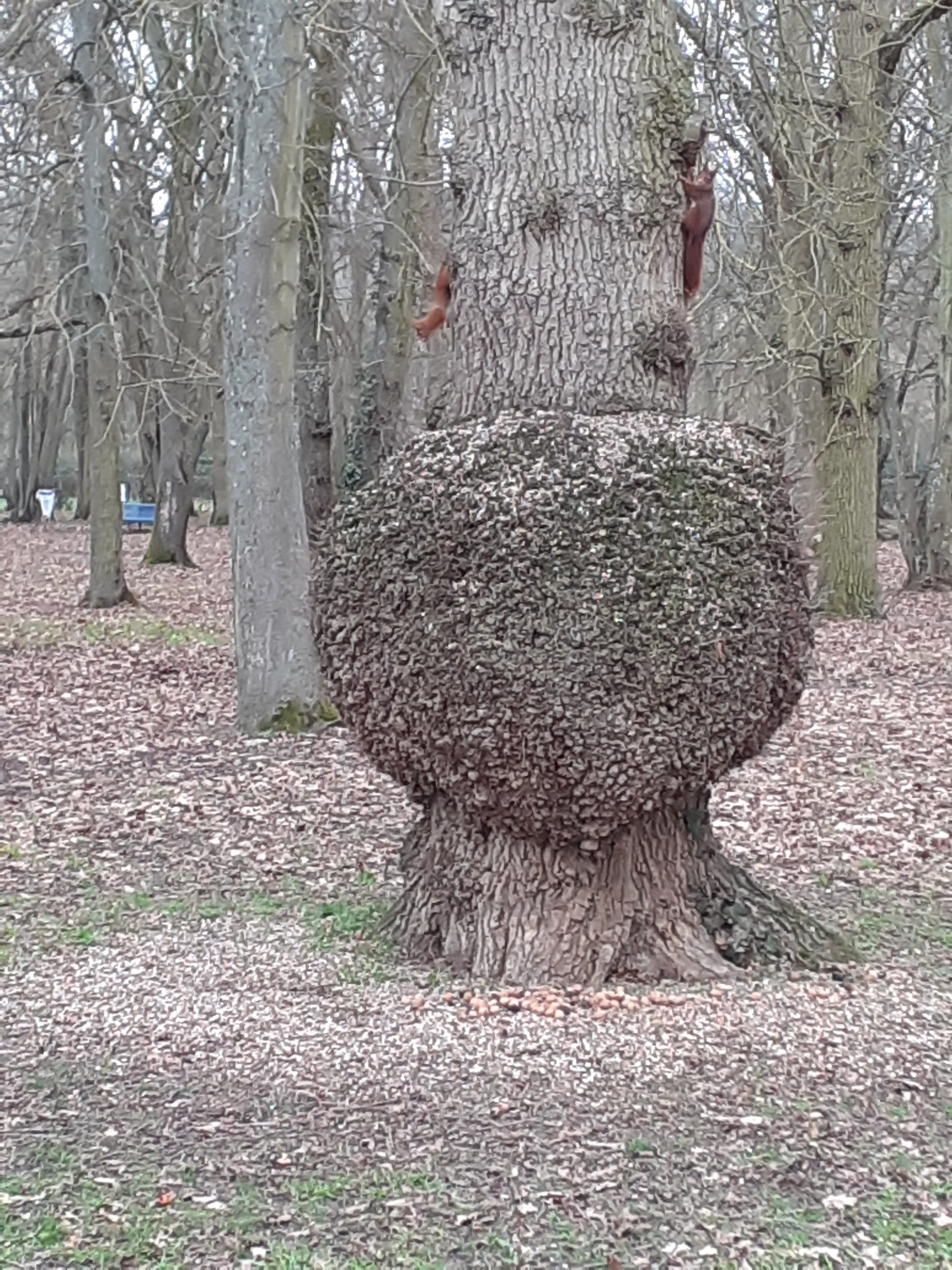 Photo n° 2 de l'avis de lili.a fait le 20/01/2021 à 13:17