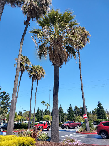 Clothing Store «Ross Dress for Less», reviews and photos, 1030 N Rengstorff Ave, Mountain View, CA 94043, USA