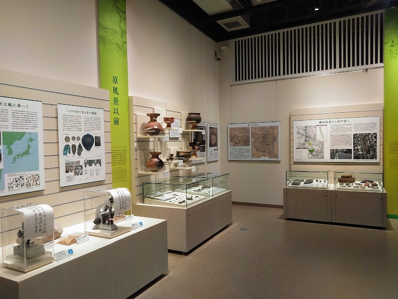豊島区立郷土資料館 東京都豊島区西池袋 地域歴史博物館 博物館 グルコミ