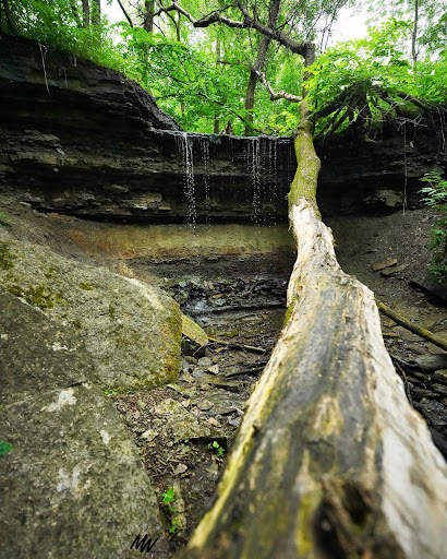 Education «River Bend Nature Center», reviews and photos, 1000 Rustad Road, Faribault, MN 55021, USA