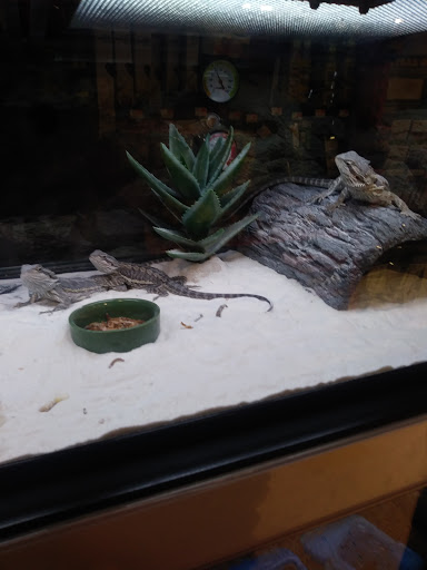 Pet Supply Store «Petco Animal Supplies», reviews and photos, 20 Stockwell Dr, Avon, MA 02322, USA