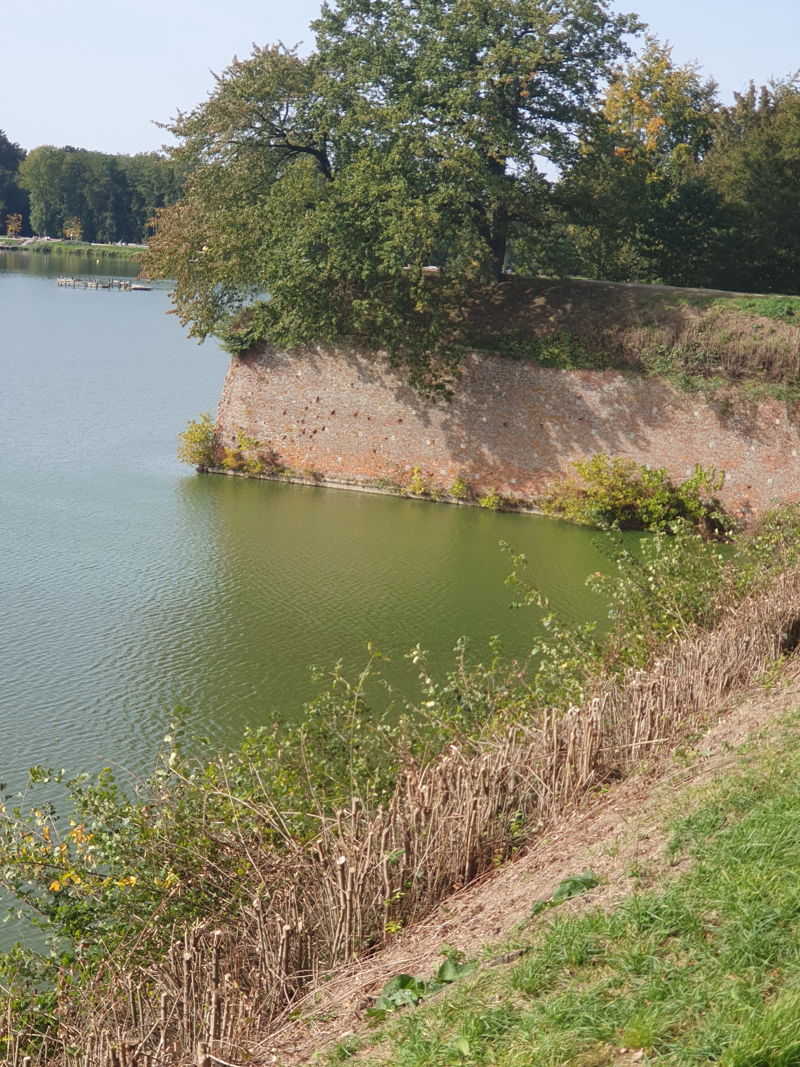 Photo n° 10 de l'avis de sebastien.a fait le 15/10/2023 à 13:57