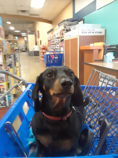 Pet Supply Store «PetSmart», reviews and photos, 1800 Evans Rd, Melbourne, FL 32904, USA