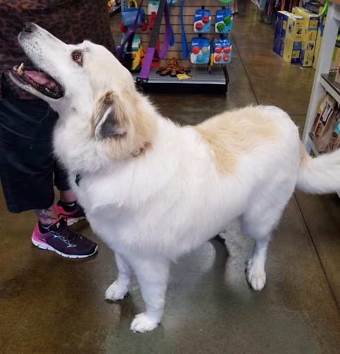 Pet Supply Store «Treats Unleashed», reviews and photos, 13325 Manchester Rd, Des Peres, MO 63131, USA