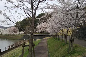 Ishiicho Maeyama Park image
