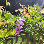 Photo n°4 de l'avis de Stefano.a fait le 07/10/2023 à 22:04 sur le  Ristorante Trattoria Rosetta à Passarera