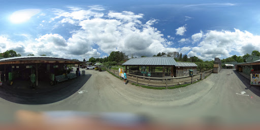 Winery «Fly Creek Cider Mill & Orchard», reviews and photos, 288 Goose St, Fly Creek, NY 13337, USA